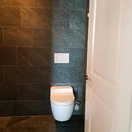 3.5 Zimmer Mit Aussichtsterrasse Zürich
